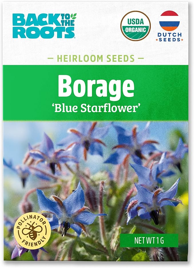 Back to The Roots 100% Organic Seed Packet - Borage 'Blue Starflower' 1g
