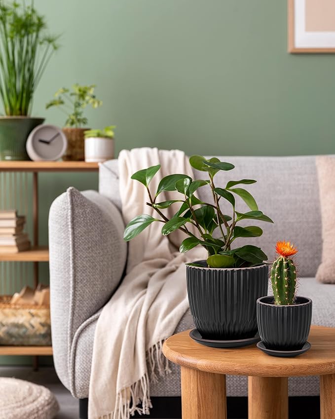 D'vine Dev Set of 2 Stoneware Planter Pots, Ceramic Pot with Drainage Hole and Saucers, 4.5 Inch 5.8 Inch, Black, 99-D-2