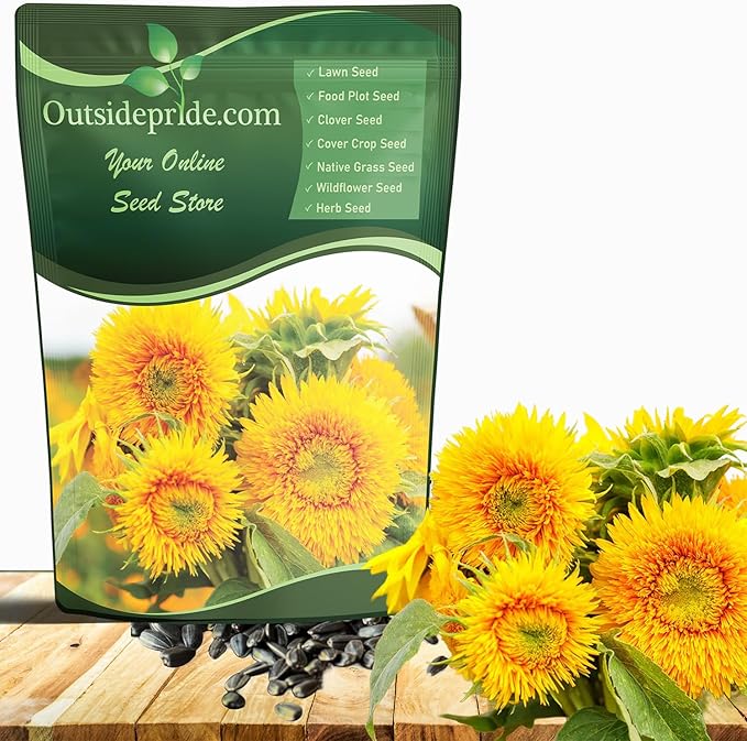 Outsidepride Dwarf Sungold Sunflower Seeds for Planting - 5 Lbs. Annual, Easy to Grow Flower Seeds w/Vibrant, Abundant Blooms for Cut Flower Arrangements & Pollinator & Vegetable Gardens