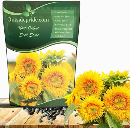 Outsidepride Dwarf Sungold Sunflower Seeds for Planting - 5 Lbs. Annual, Easy to Grow Flower Seeds w/Vibrant, Abundant Blooms for Cut Flower Arrangements & Pollinator & Vegetable Gardens