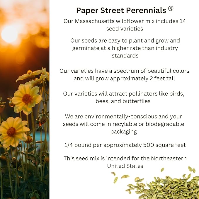 Massachusetts Bulk Perennial Wildflower Seed Mix 1lb Covers 2,000sq-ft - Attract Pollinators, Multi-Color Blooms - Northeast US Species Plant in Spring/Fall - Earth-Friendly Packaging (1/4 Pound)