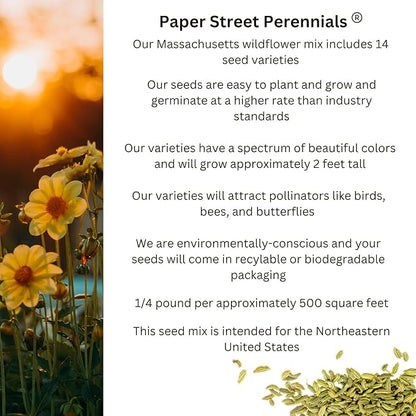 Massachusetts Bulk Perennial Wildflower Seed Mix 1lb Covers 2,000sq-ft - Attract Pollinators, Multi-Color Blooms - Northeast US Species Plant in Spring/Fall - Earth-Friendly Packaging (1/2 Pound)