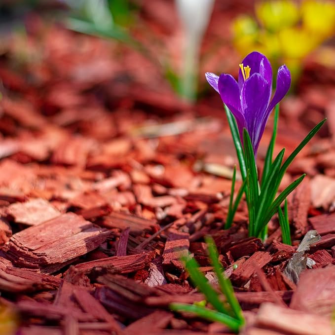 Premium Red Wood Mulch for Indoor, Patio, Potting Media, Gardens, Lawns, and Landscaping (1.0 CF - 37 L - 39 QTS)