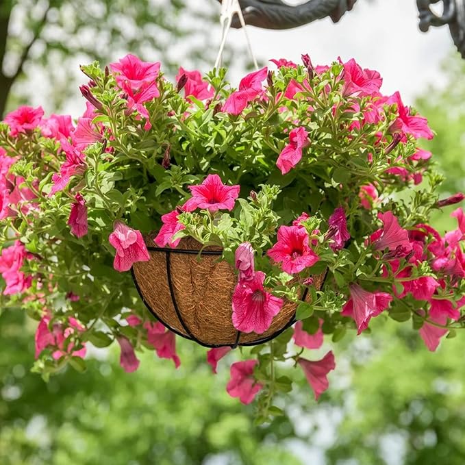 ZeeDix 6 PCS 10 Inch Coconut Liners for Planters, Round Hanging Basket Liners Natural Coco Coir Replacement Liner for Flowers Vegetables Patio Porch Garden Decor