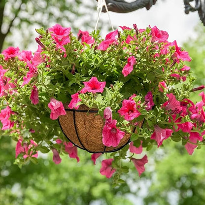 ZeeDix 6 PCS 10 Inch Coconut Liners for Planters, Round Hanging Basket Liners Natural Coco Coir Replacement Liner for Flowers Vegetables Patio Porch Garden Decor