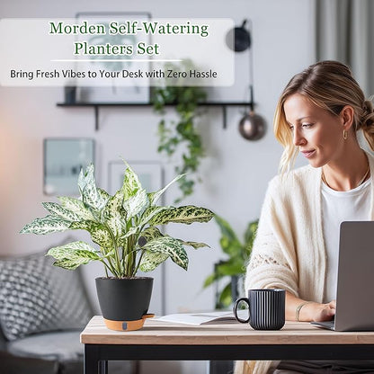 Self Watering Pots for Inoor Ourdoor Plants 10/9/8/7/6.5 Inch Plastic Planters with Drainage Holes & Water Level Indicator, Decorative House Flower Nursery Planting Pots with Saucers (Black)