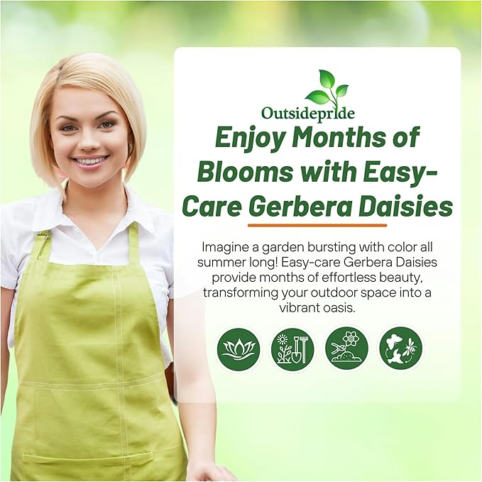 Outsidepride Autumn Colors Mix Gerbera Seeds - 10 Pcs Perennial, Compact & Low Maintenance, Flower Seeds for Planting w/Vibrant Mixed Blooms, Ideal for Garden Landscaping & Cut Flower Arrangements