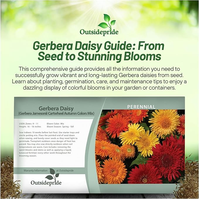Outsidepride Autumn Colors Mix Gerbera Seeds - 10 Pcs Perennial, Compact & Low Maintenance, Flower Seeds for Planting w/Vibrant Mixed Blooms, Ideal for Garden Landscaping & Cut Flower Arrangements