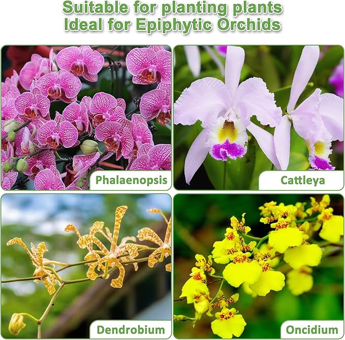 Orchid Potting Mix for Repotting - 3QT Fast-Draining Soil with Pine Bark, Perlite, Moss & Leca Clay, Breathable Mix for Healthy Roots,Ideal for Repotting & Indoor Orchid Plants