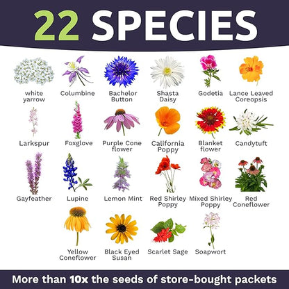 Deer Resistant Wildflower Seed Mixture - Bulk 1 Pound Bag - Over 240,000 Deer Tolerant Seeds - Open Pollinated and Non GMO