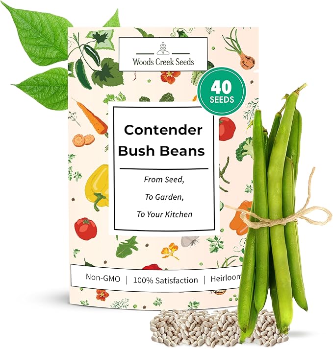 Woods Creek Seeds: Contender Bush Bean Seeds for Planting - Non-GMO Green Bean Seeds for Planting - Tender Stringless Variety - USA Grown Heirloom Bush Beans Vegetable Seed for Outdoors and Indoors