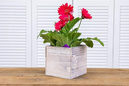 Wooden Planter Box l Rustic Barn Whitewash with Plastic Liner l Garden Decor l Restaurant and Wedding Decorations (6x6 Set of 2, Whitewash)