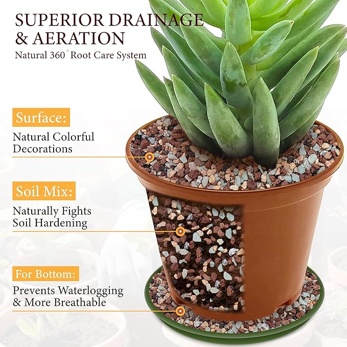 18LB Lava Rocks for Plants-3/8 Volcanic Rock for Succulent Potting Mix, Cactus, Orchids & Bonsai-Porous Horticultural Grit for Drainage, Aeration & pH Balance - Decorative Top Dressing