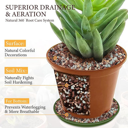 18LB Lava Rocks for Plants-3/8 Volcanic Rock for Succulent Potting Mix, Cactus, Orchids & Bonsai-Porous Horticultural Grit for Drainage, Aeration & pH Balance - Decorative Top Dressing