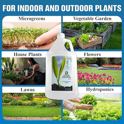 OceanSolution 2-0-3 All Natural Liquid Fertilizer – 1 Gallon Concentrated Mineral Fertilizer & Plant Food for Microgreens, Hydroponics, Gardens & Lawns–OMRI Listed, No Odor(1oz per Gallon of Water)