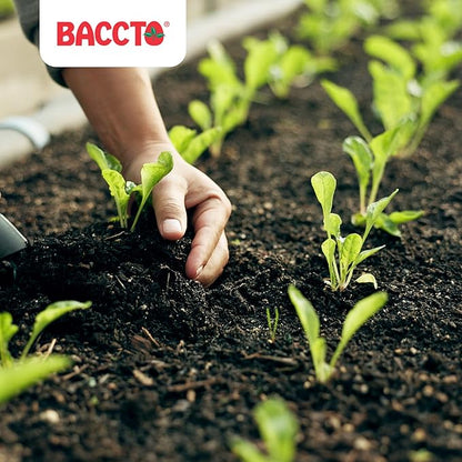 Michigan Peat 1550P Baccto Top Soil for Lawns, Gardens, and Raised Planting Beds with Reed Sedge, Peat, and Sand, 50 Pounds (6 Pack)