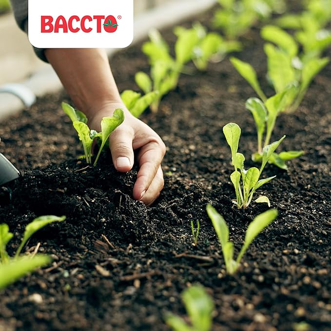 Michigan Peat 50 Pound Baccto Top Soil for Lawns, Gardens, and Raised Planting Beds with Reed Sedge, Peat, and Sand, (4 Pack)