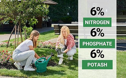 6-6-6 All-Purpose Professional Plant Food Fertilizer; Ideal for Winter Care & Spring Feeding, Perfect Balanced NPK for Indoor and Outdoor Plants (1/2 Quart)