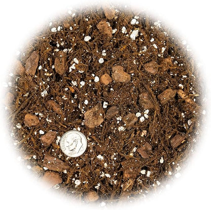 Premium Gardenera House Plant Potting Mix - 20 Quart - Fern + New Zealand Bark + Perlite | Great for Pothos, Spider Plants, Montsera, Philodendron, English Ivy (4 Bags of 5 Quart)