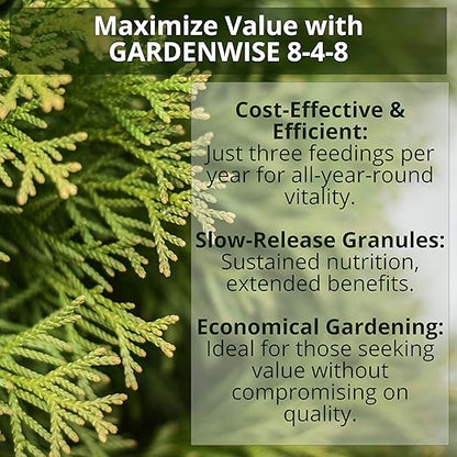 8-4-8 Acidic Fertilizer for Azaleas, Camellias (Camelia), Hydrangeas, Blueberries, Gardenias, Magnolia Trees, Evergreens, and Rhododendrons - Ideal Iron-Rich Plant Food (1/2 Quart)
