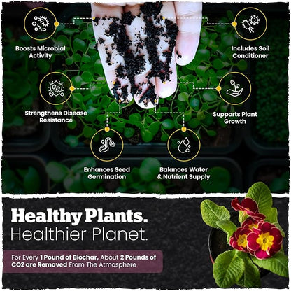 Wakefield Biochar Potting Mix & Indoor Plant Soil – Potting Soil Indoor Plants w/CarbonBoost Technology – Organic Compost, Pine Bark, Worm Castings – Garden Dirt - 4 Quart