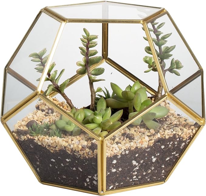 NCYP Glass Terrarium for Small Cactus, Succulents - Gold Geometric Planter Pot, Home Office Tabletop Miniature Garden Decor, 6.89 x 6.89 x 5.9 Inches, Handmade (No Plants, No Door)