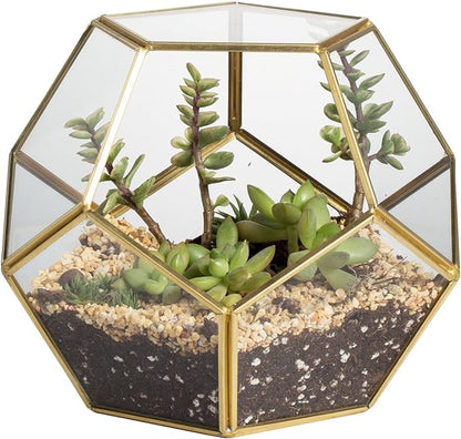 NCYP Glass Terrarium for Small Cactus, Succulents - Gold Geometric Planter Pot, Home Office Tabletop Miniature Garden Decor, 6.89 x 6.89 x 5.9 Inches, Handmade (No Plants, No Door)