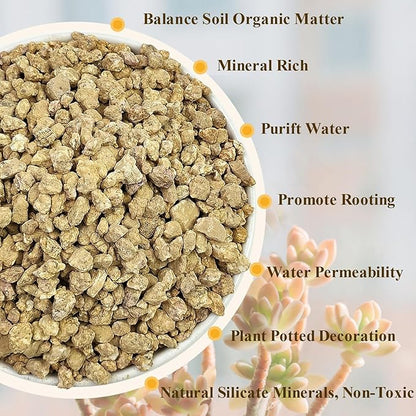 2 lbs Maifanitum Stones for Succulent,1/4 Inch Decorative Rocks for Indoor Plants, Bonsai, Soil Cover. Small Stone of Lightweight for Promote Soil Root Growth, Water Drainage and Plant Growth