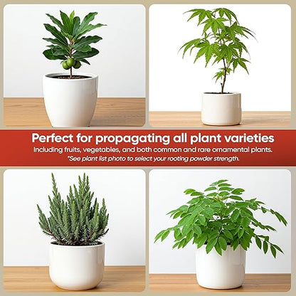 Hormex Rooting Powder #16 (1.60 IBA) - Fast-Acting Rooting Hormone for Difficult Hardwood & Tree Cuttings - Root Stimulator for Plant Cloning - Strong Growth for Maximum Propagation Success, 1LB