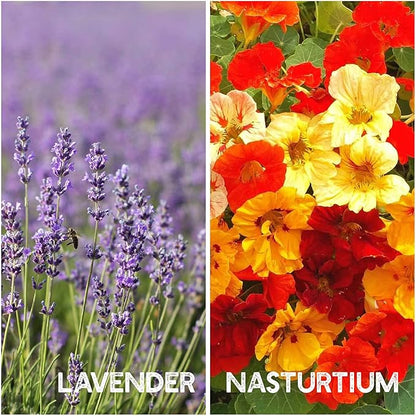 Flower Garden Seed Collection - 12 Varieties of Flower Seeds for Planting, ~6,000 Seeds - Includes Zinnia, Marigold, Poppy, Cosmos, Sunflower, Painted Daisy, Nasturtium, Lavender, Calendula & More