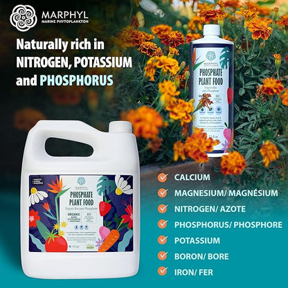 MARPHYL Organic Liquid Phosphate Soil Enhancer. Phosphorus Fertilizer for Garden, Flowers, Vegetables, Succulents, Bamboo, Hydroponics 1.05 gal