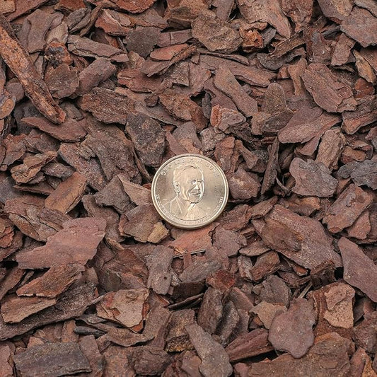 Orchid Bark 1qt, Natural Pine Bark Mulch for Plants, Great for Orchids, Succulents, Cactus, Bonsai, Ideal for Houseplant Mulch