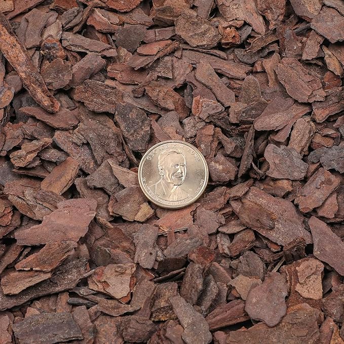 Orchid Bark 2qt, Natural Pine Bark Mulch for Plants, Great for Orchids, Succulents, Cactus, Bonsai, Ideal for Houseplant Mulch