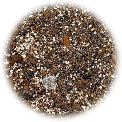 GARDENERA Premium Spider Plant Potting Soil Mix - (3 Quart Bag)