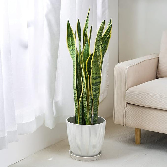 ADN 10 Inch Ceramic Planter Pot with Drainage Hole and Saucer,Large Round Plant pots for Indoor Outdoor Plants,Modern Flower pots, White