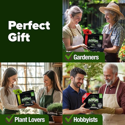 Bonsai Tree Kit Gifts for Men & Women - Grow 4 Bonsai Trees - Unique Gardening Crafts for Adults, DIY Hobbies for Plant Lovers & Gardeners - Unusual Christmas Gift Ideas for Mom & Dad