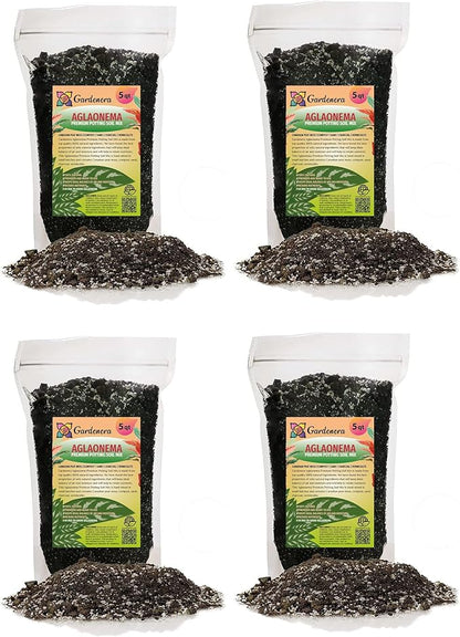 Gardenera Aglaonema Potting Mix - Unlock Robust Growth and Vibrant Leaves with Our High-Performance Formula - 20 Quart