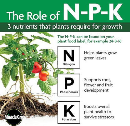 Miracle-Gro Shake 'N Feed Tomato, Fruit and Vegetable Plant Food, For In-Ground and Container Plants, Feeds up to 3 Months, 1 lb.