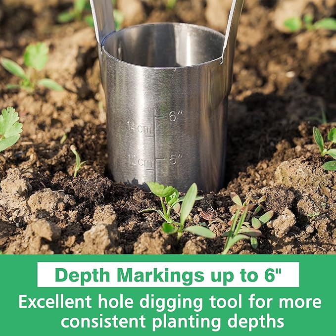 Berry&Bird Garden Bulb Planter with 6 inches Depth Mark, Garden Bulb Transplanter Tool with Wooden Handle, Stainless Steel Soil Release Tool for Transplanting Digging Planting Flowers