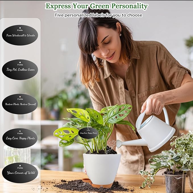 6 Inch Self Watering Pots for Indoor Plants (5-Pack) – Small Plastic Planters with Water Window, Drainage Holes & Trays, Indoor Outdoor Flower Pots for Herbs, Succulents, Home Garden Decor (White)