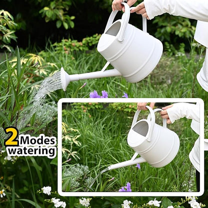 1 Gallon Watering Can for Plants, Watering Cans for Indoor&Outdoor Gardening, Water Can with Ergonomic Movable Handle (Gray)