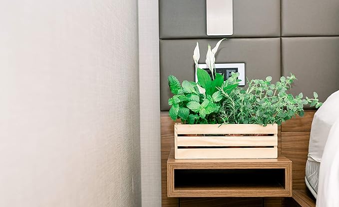 Wood Planter Box with Wine Crate Styled, 12x4 Inch Rectangular, Rose Wood, Plastic Liner, Garden Centerpiece Display, Wedding Flowers Holder, Home and Venue Decor (12x4 Wine Crate Set of 4, Rose Wood)