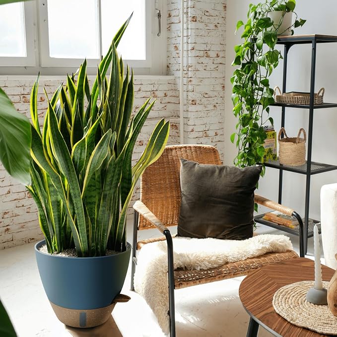 8/10/12 Inch Large Self Watering Pots for Indoor Plants Plastic Plant Pot for Outdoor Plants, Water Level Window & Spacious Reservoir Flower Pots Decorative Planter with Drainage and Tray (Blue)