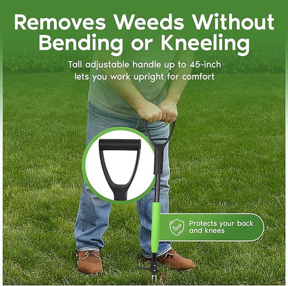 Garden Guru Stand Up Weeder Weed Puller Tool – Long Handle up to 45-Inch – Heavy Duty 3 Claw Weeder with Foot Pedal – No Bending or Kneeling – Great for Dandelions, Thistle, Grass (4 Pack)
