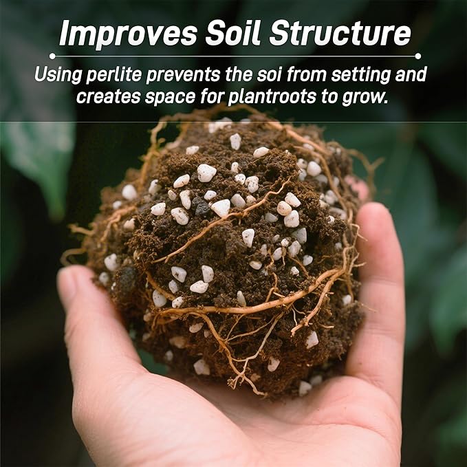 3 Quarts Perlite for Plant Soil - Amendment for Potting Soil, Improves Drainage and Aeration for Soil,Better for Root Growth (1/4 inch)