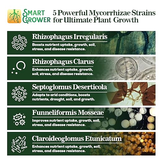 Mycorrhizal Fungi Organic Root Enhancer for Plants, Super Potent 100 Spores Per Gram, 5-Strain Blend, Rapid Results for Gardens, Houseplants, Lawns, Mycorrhizae Smart Grower 125 Grams for 125 Plants