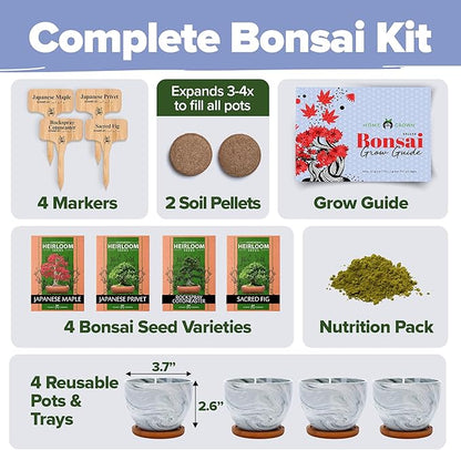 HOME GROWN Bonsai Tree Kit – Premium Ceramic Starter Set with 4 Bonsai Varieties – Easy Indoor Gardening Gift for Men & Women – Unique Plant Kit for Beginners & Nature Lovers