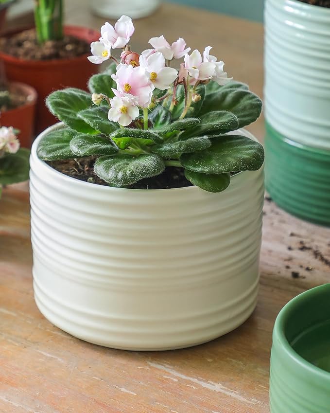 Self Watering Pots for Indoor Plants, 6 Inch Ceramic Self Watering Plant Pot, Planter Pot with Wick Rope and Drainage Hole for African Violet Succulent Herbs (White Matte)