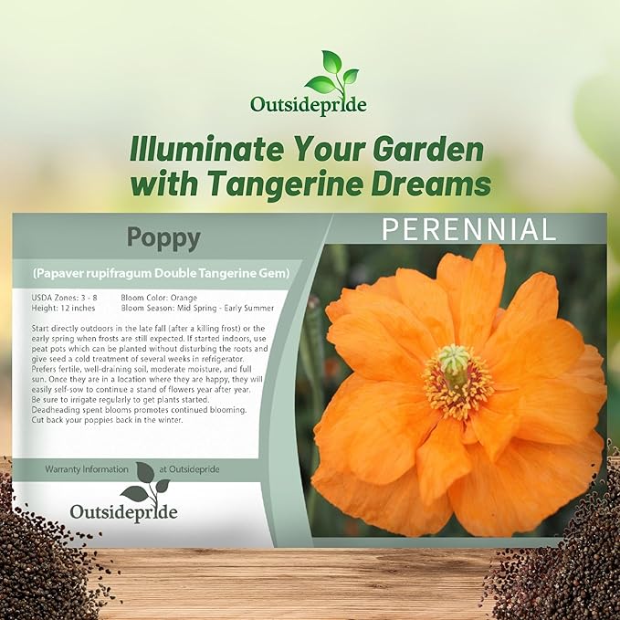 Outsidepride Double Tangerine Gem Poppy Seeds for Planting - 500 Pcs Perennial, Drought-Tolerant & Easy to Grow Wildflower Seeds with Vibrant Orange Blooms for Landscaping, & Pollinator Garden