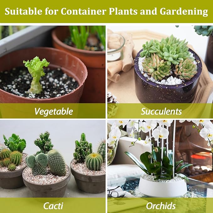 Riare 15 Quarts Organic Perlite for Plants - Horticultural Perlite Soil Amendment for Plants Potting Mix, Natural Chunky Perlite Soil Additive Conditioner Improve Root Growth, Drainage and Ventilation